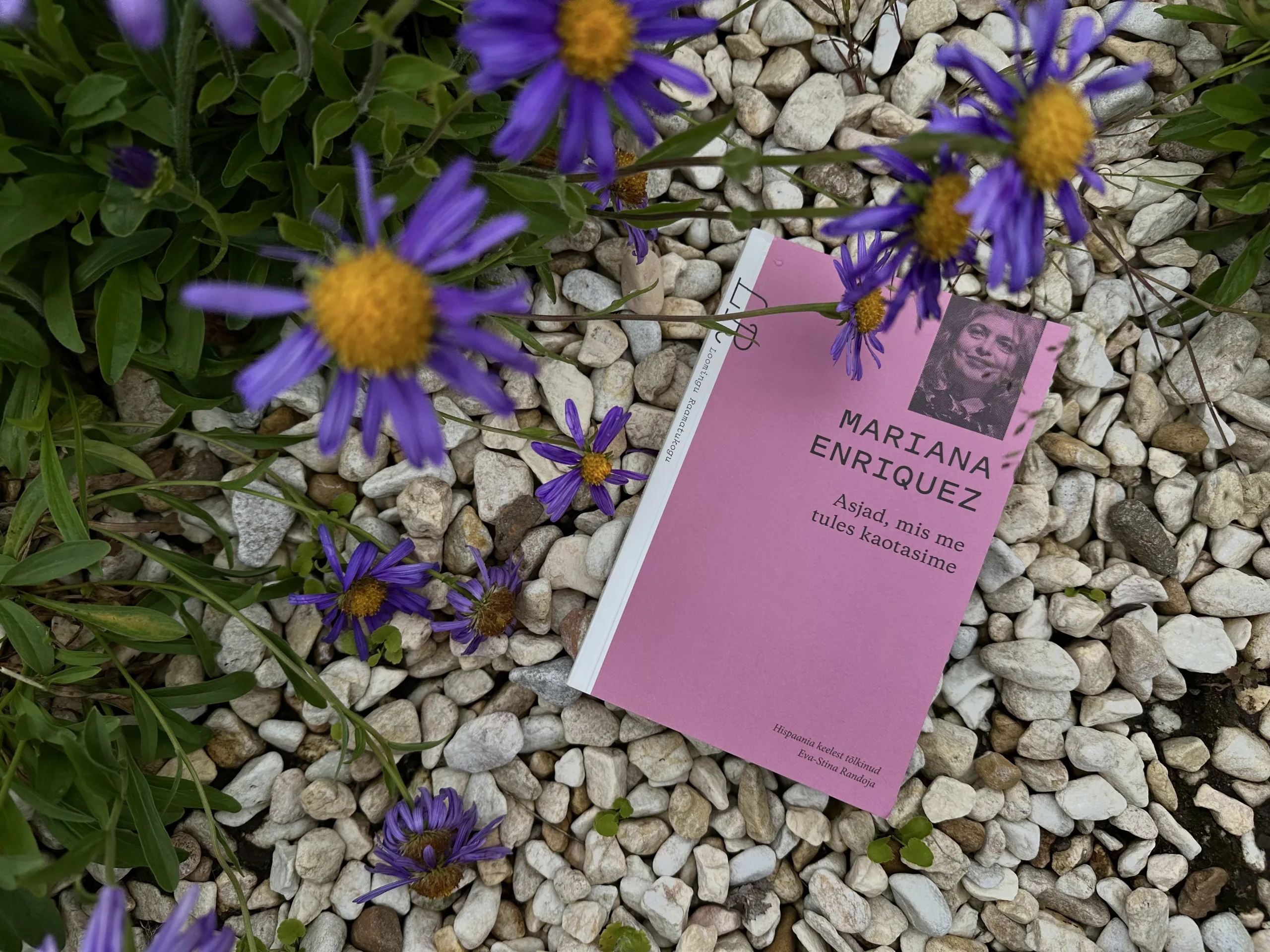 Mariana Enriquez: reeglina ma kirjutatuga rahule ei jää