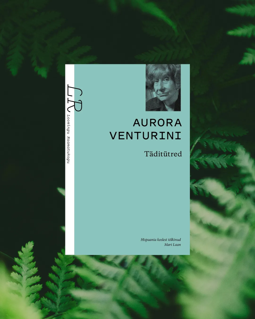 Hispaania Maja raamatuklubi 2.12: Aurora Venturini „Täditütred“